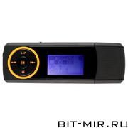  MP3 Flash 2 GB Rover Media C20R 2Gb Black